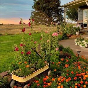 Meet your Posher, Ashanti